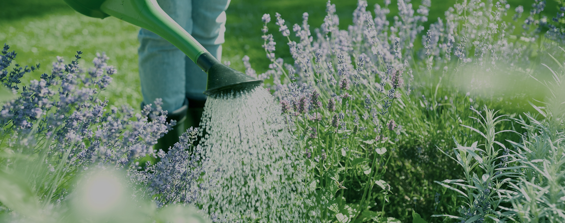 メインイメージ