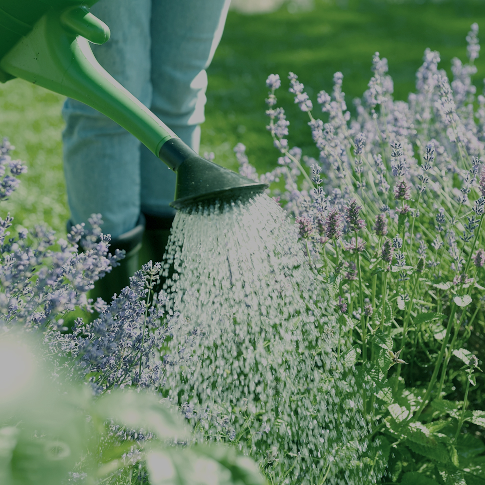 メインイメージ